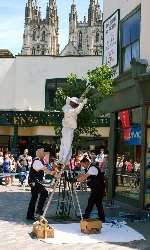 Bee keeper Simon Reed tackles swarm in Canterbury