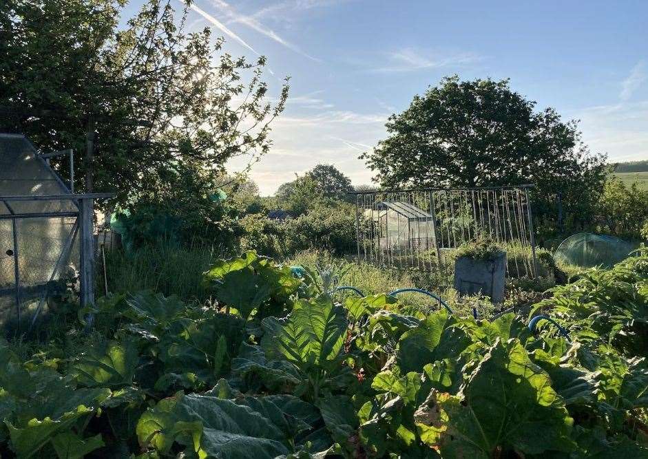 Hawkenbury Allotment Holders' Association says any road widening will harm the allotments