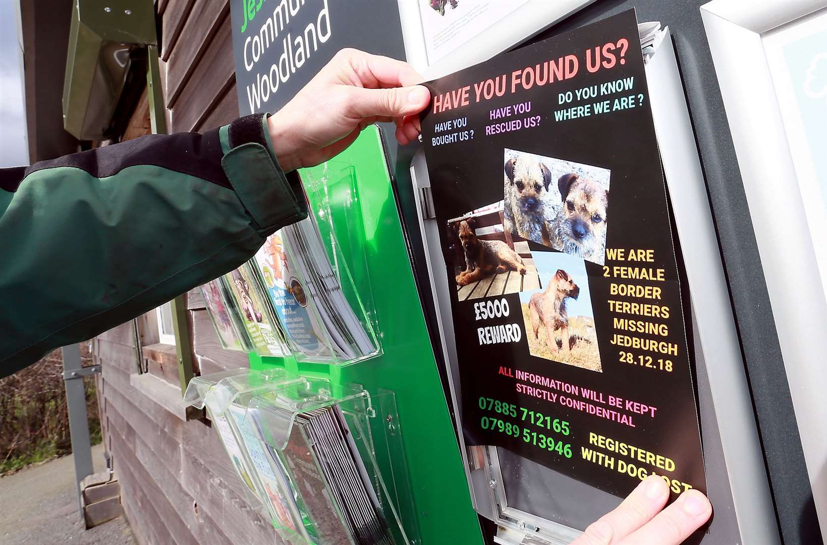 Dog thefts are now at their highest level in five years, says Direct Line