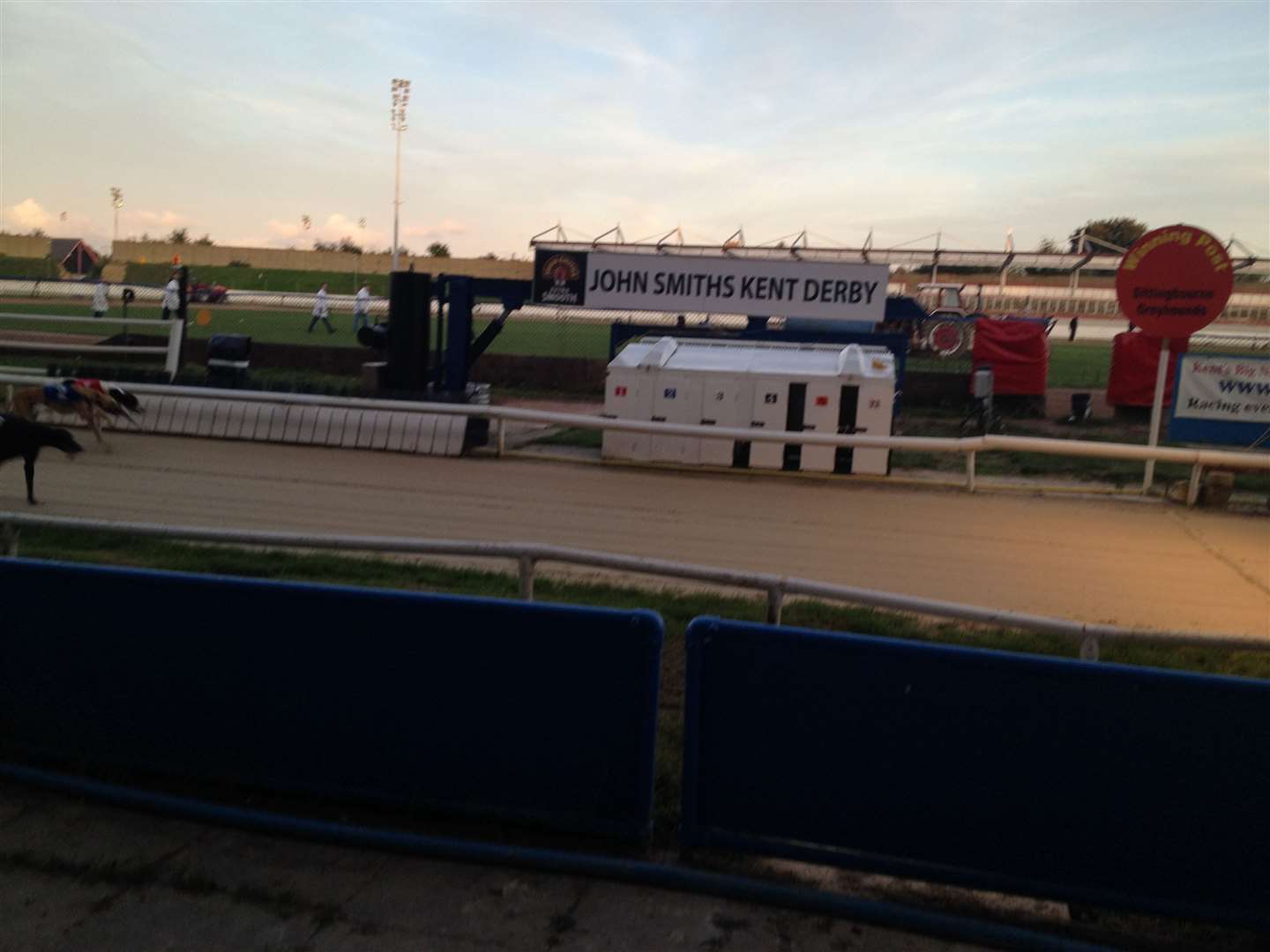 The dogs get out of the traps quickly at Central Park Stadium