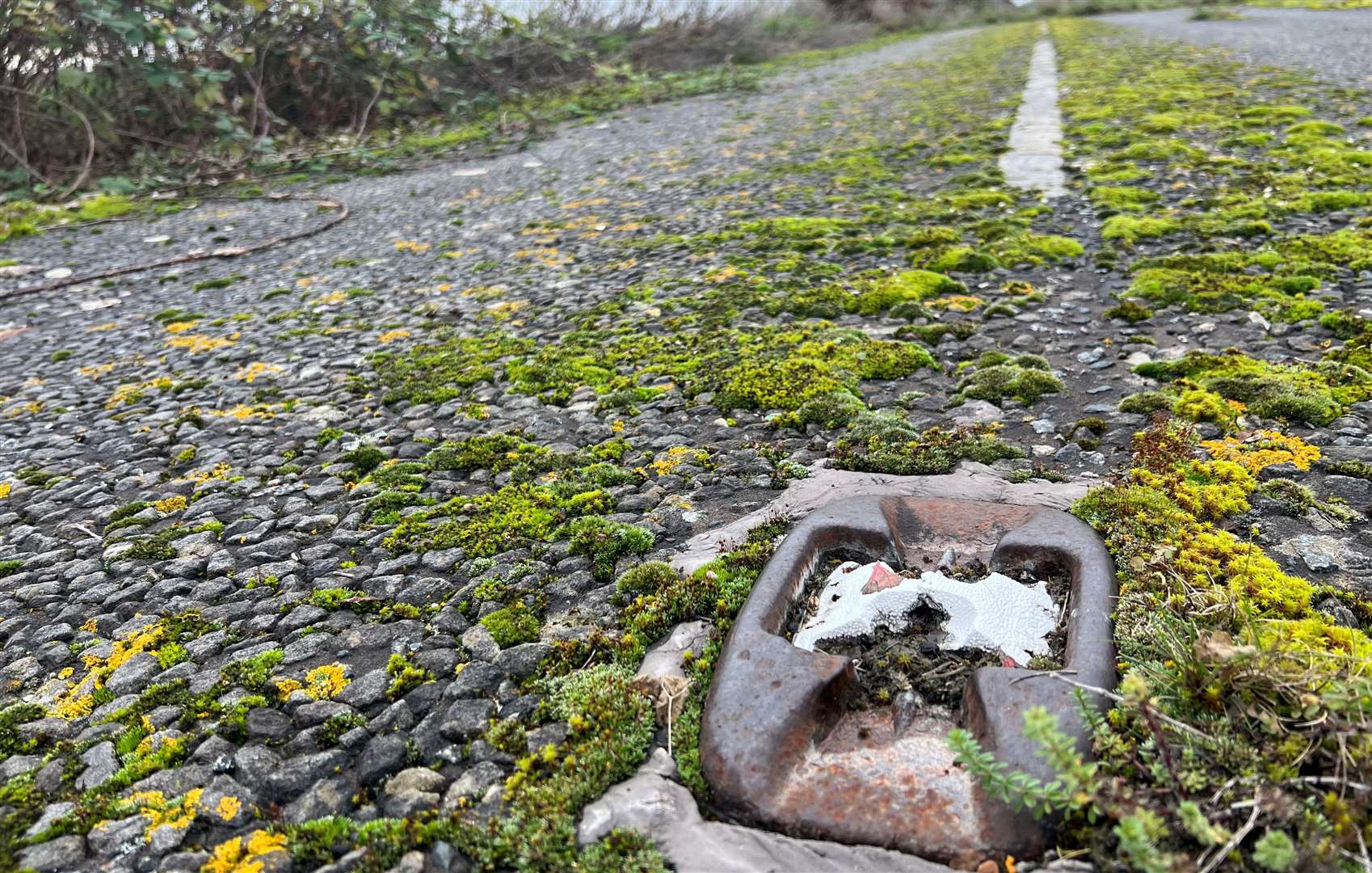 Cats eyes protrude from the road’s decaying surface