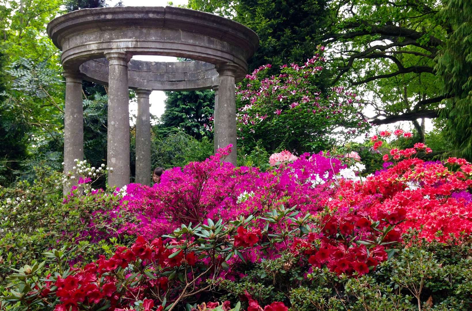 Great Comp Garden is one of Kent’s best-loved spring gardens. Picture: Supplied by Vikki Rimmer