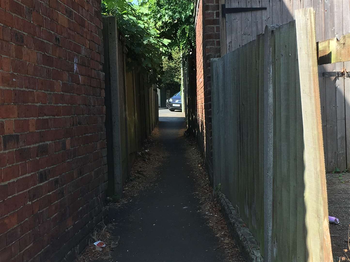 Police were seen in Sturges Road alleyway yesterday