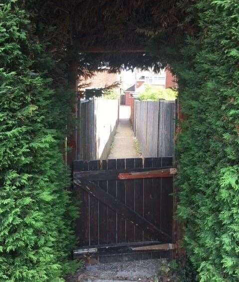 At the far end of the back garden there’s an opening in the leylandii hedge leading to a pathway between the houses at the rear of the pub