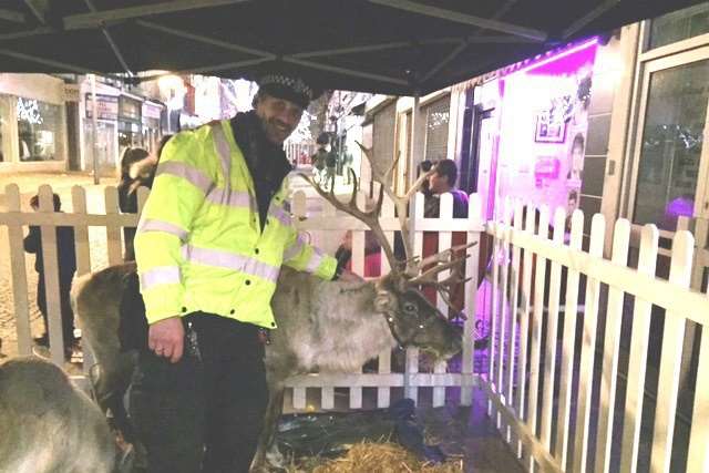 PC John Weller with the recaptured reindeer.