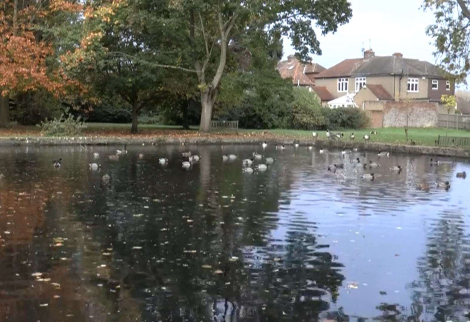 Bradbourne Lakes in Sevenoaks is set to receive a revamp. Picture: KMTV