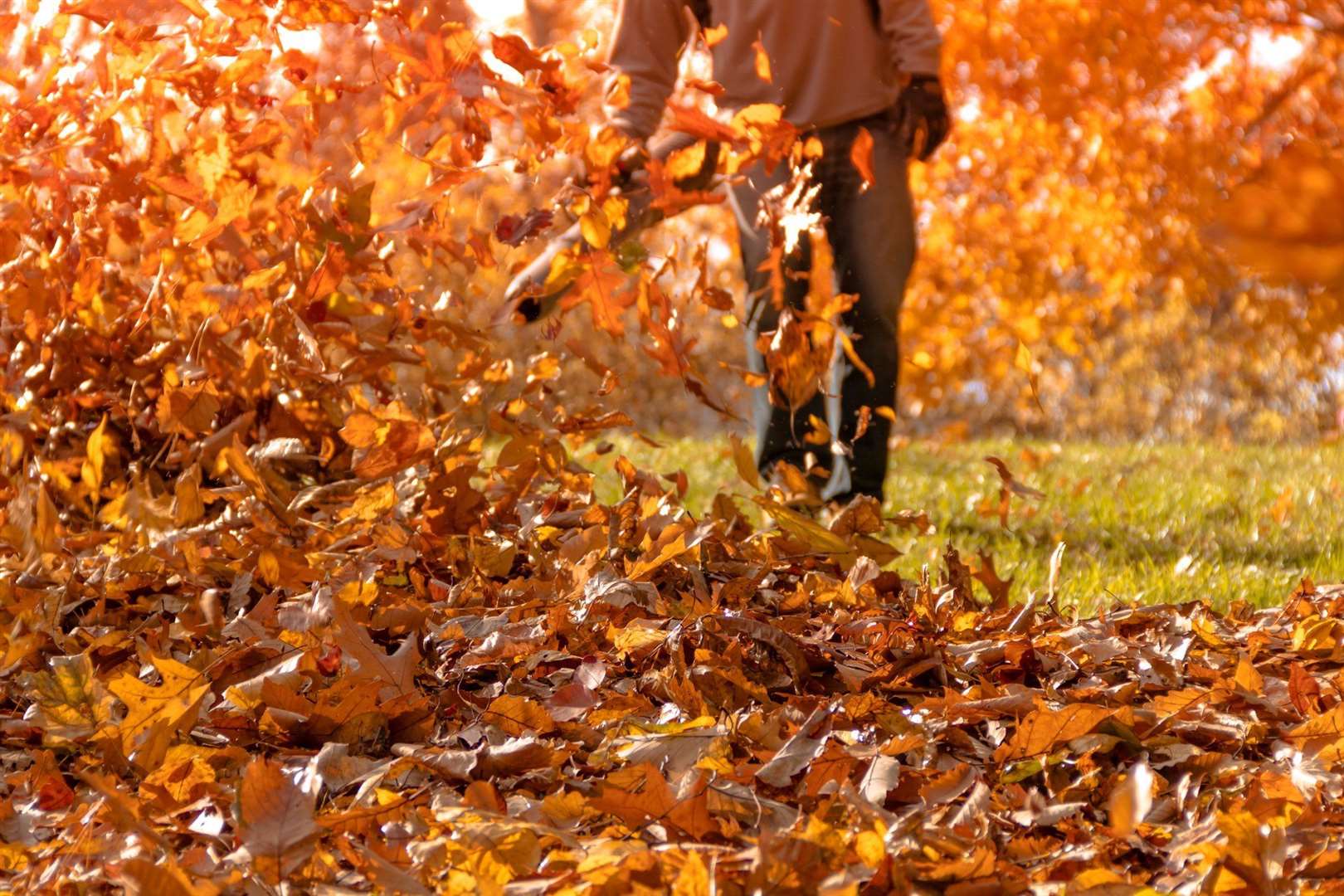 Even leaf-blowers can affect Alex who has lived with Misophonia for the past 15 years. Stock picture