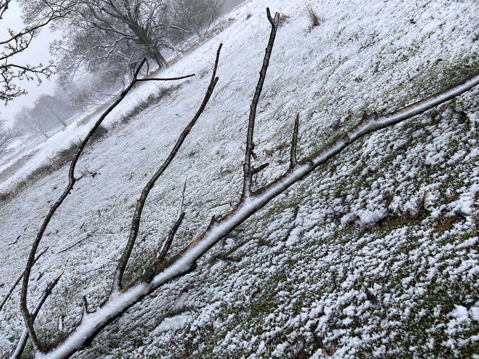 Hatch Park in Ashford covered in snow. Picture: Holly Hunt