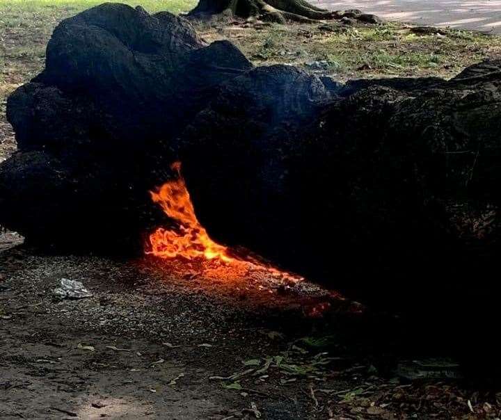 A popular park bench was destroyed by flames at Faversham recreation ground in Whitstable Road. Picture: Melinda Urszuly