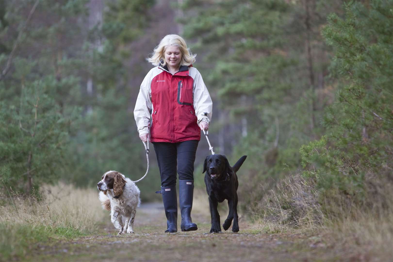 There is no blanket law that requires dog owners to keep their animals on leads. Image: Stock photo.