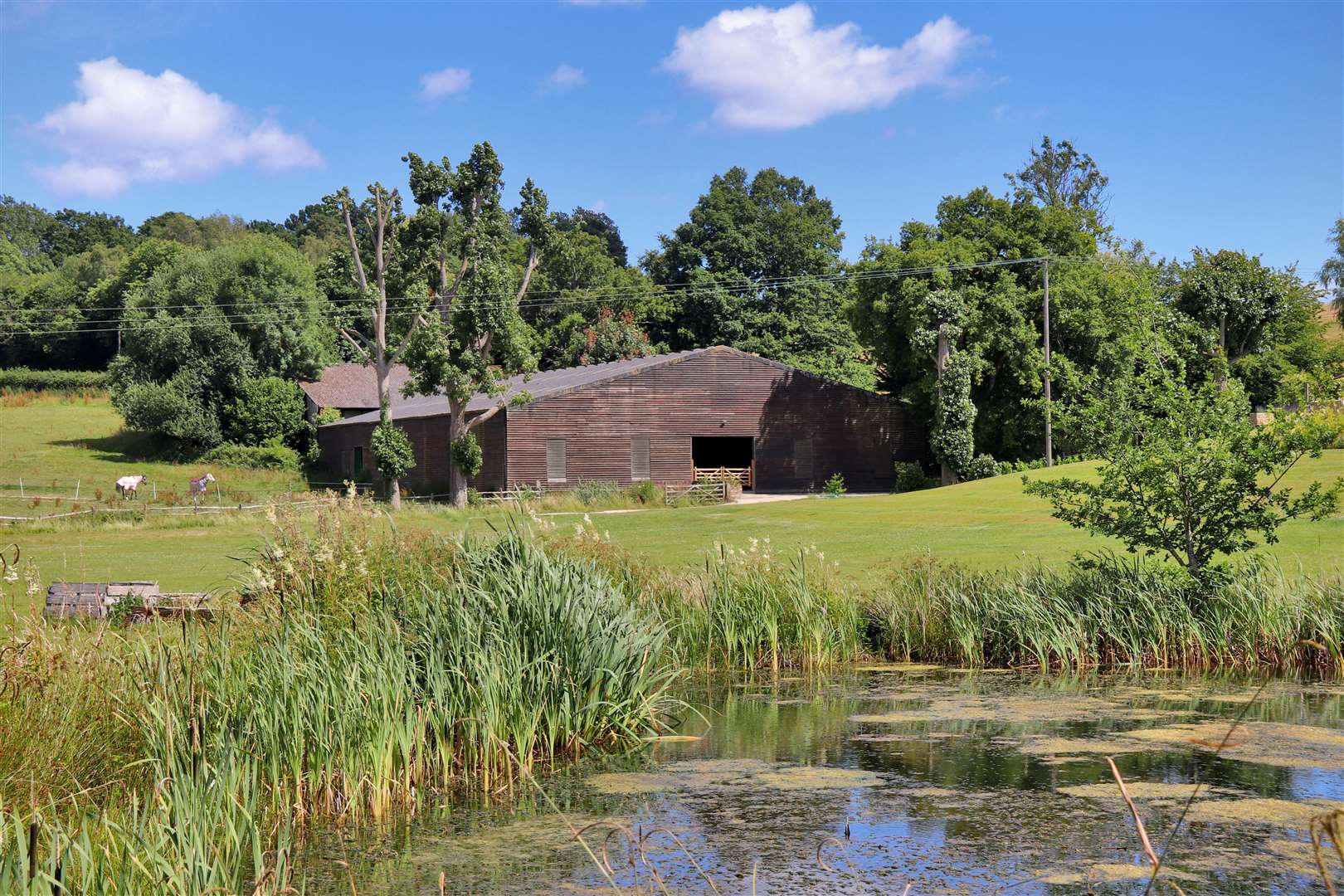 The main house and cottages all have picturesque woodland, pasture and lawns on the doorstep. Picture: Savills