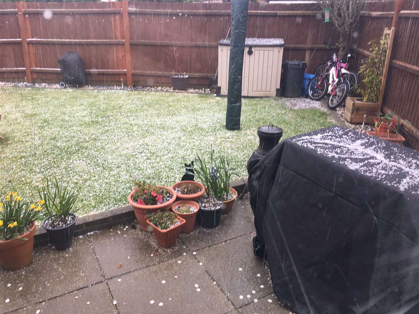 Hail scattered across the lawn in Rainham