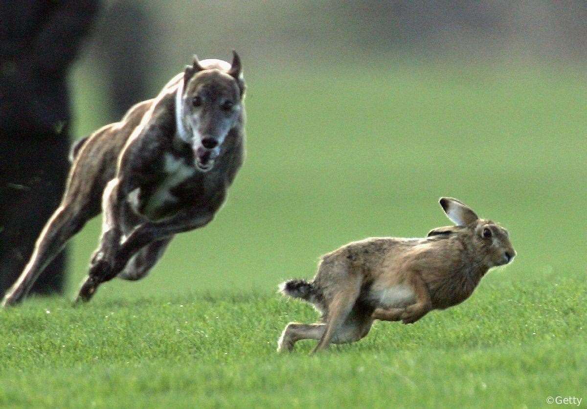 Sydney Samuels, from Maidstone, is the first person in the East of England to be fined for breaching a CPN. Picture: Stock