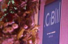 CBI