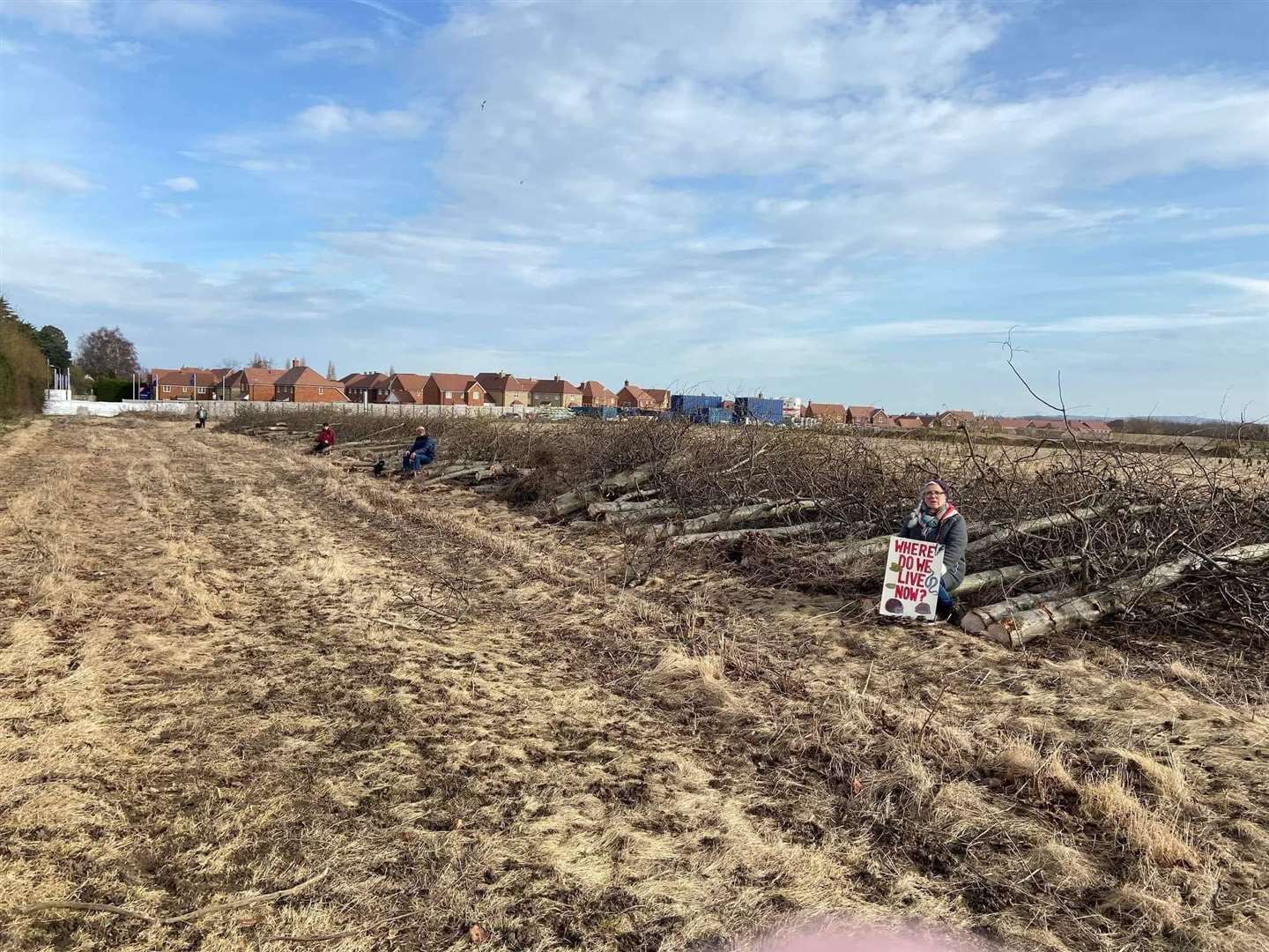 Protestors are mourning the felling of trees in Love Lane, Faversham (54873727)