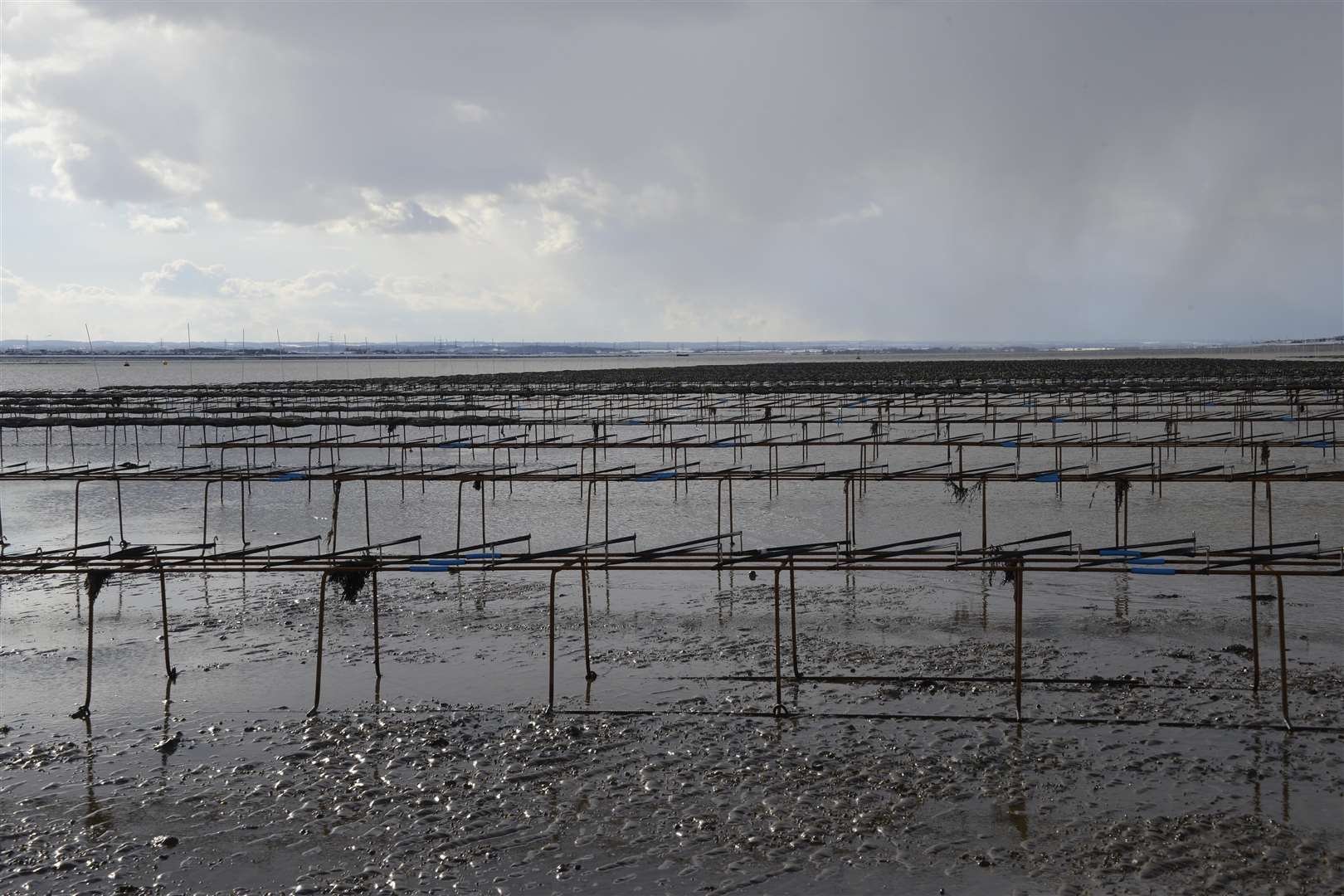 Oyster racks on Whitstable beach