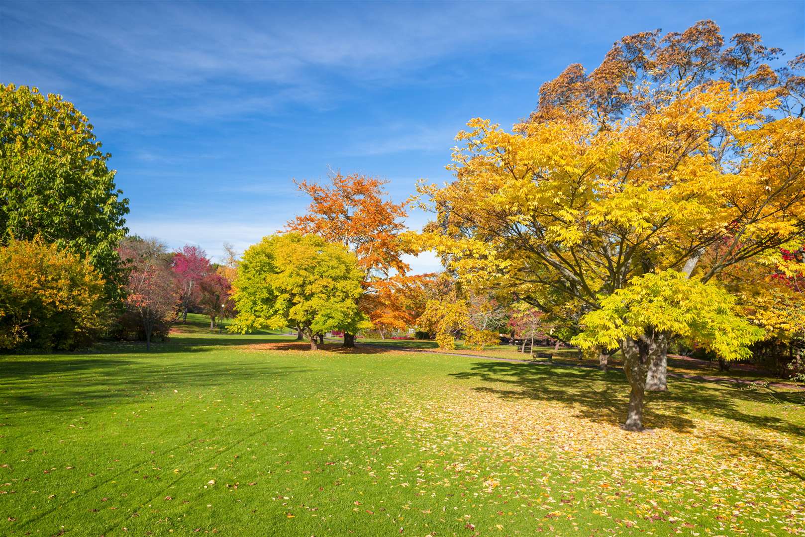 Autumnal weather could be warmer than normal by the end of the week