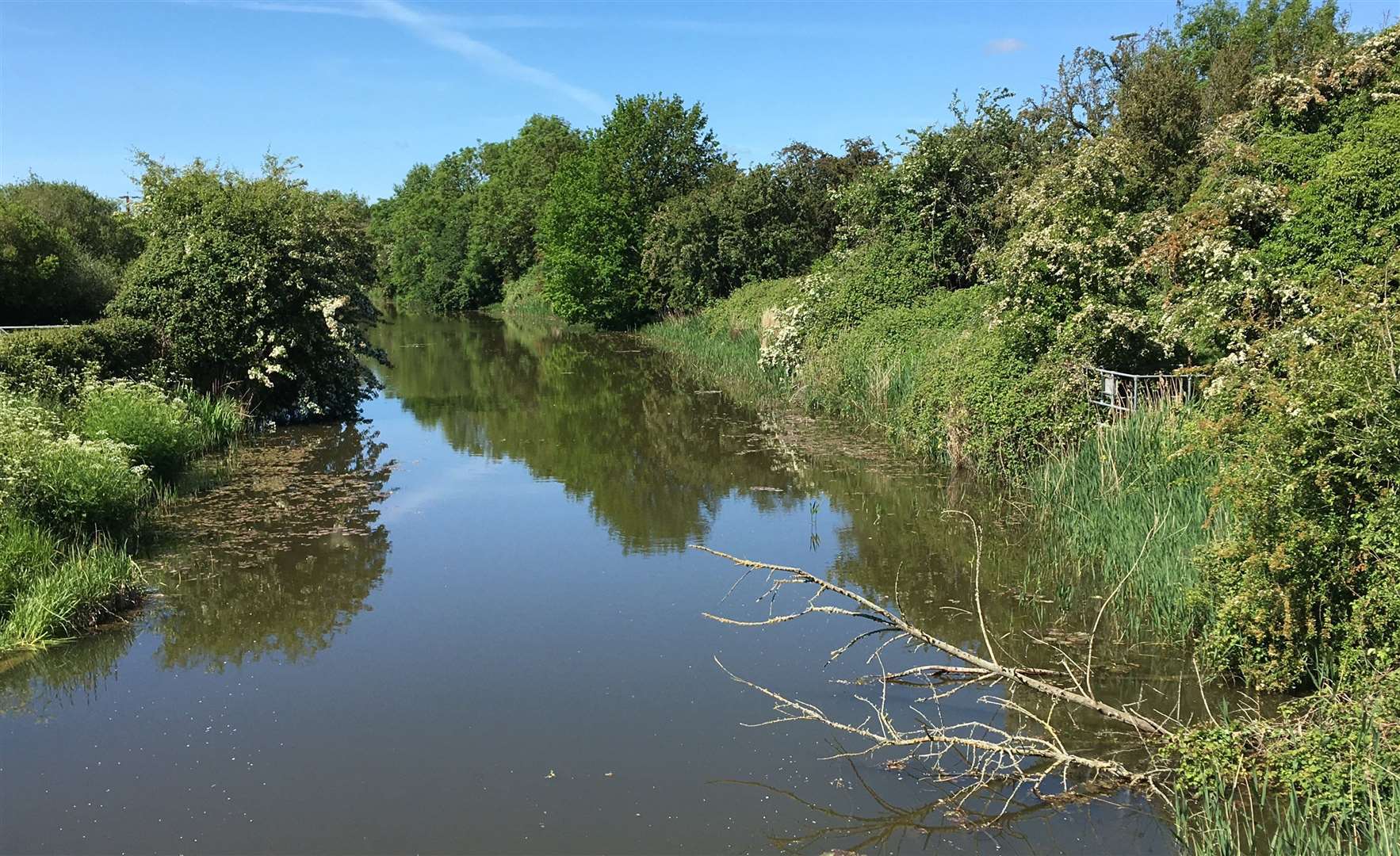 GeoAdventures take place at ‘geosites’ - sites of geological importance - in and around the Kent Downs. Picture: KCC