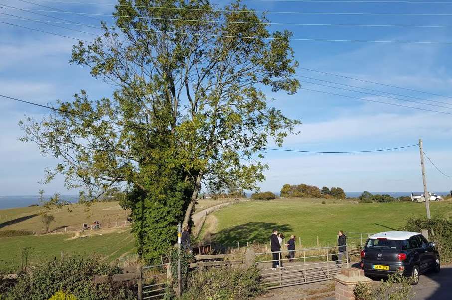 After Eastchurch Road, Sky flew to another tree in nearby Plough Lane