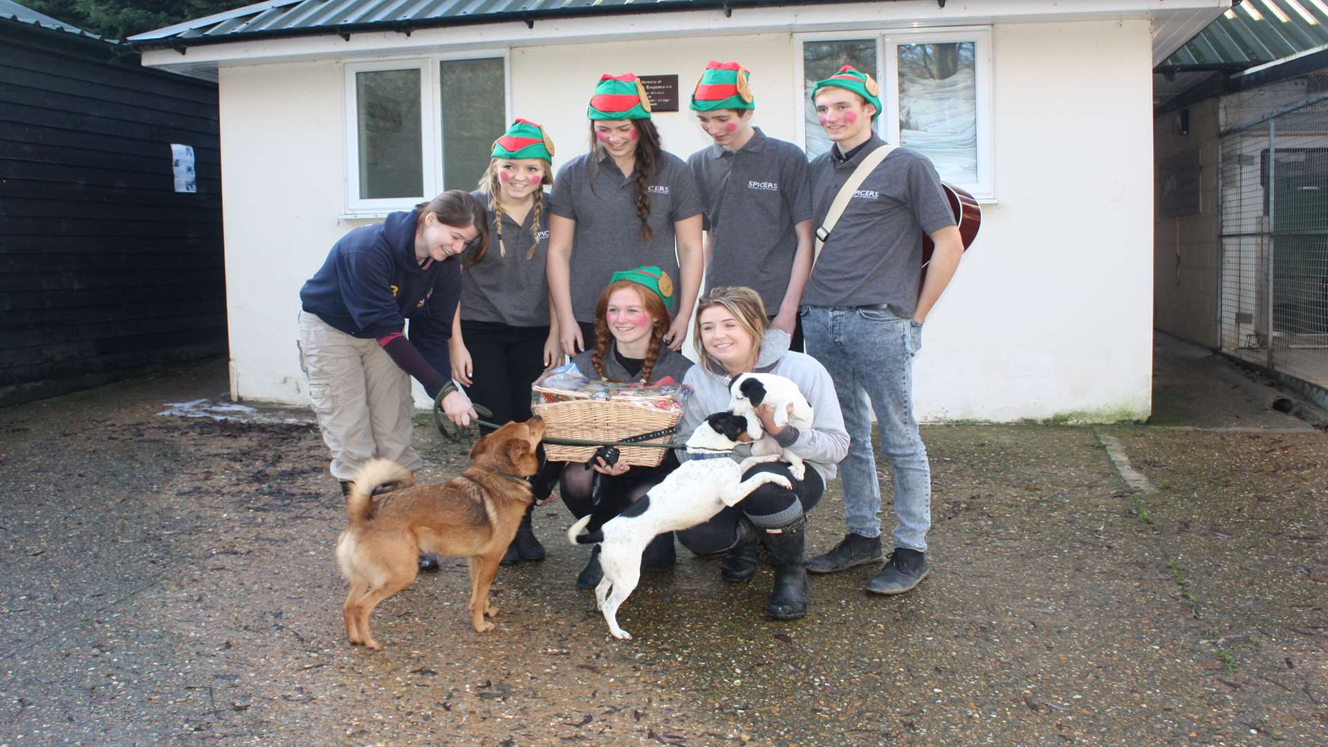 The elves with the Christmas hamper