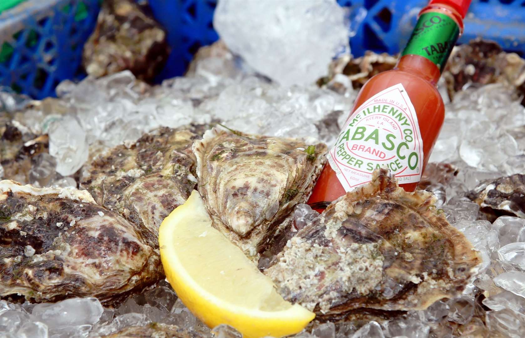 Oysters are Whitstable’s unofficial coat of arms. Picture: Phil Lee