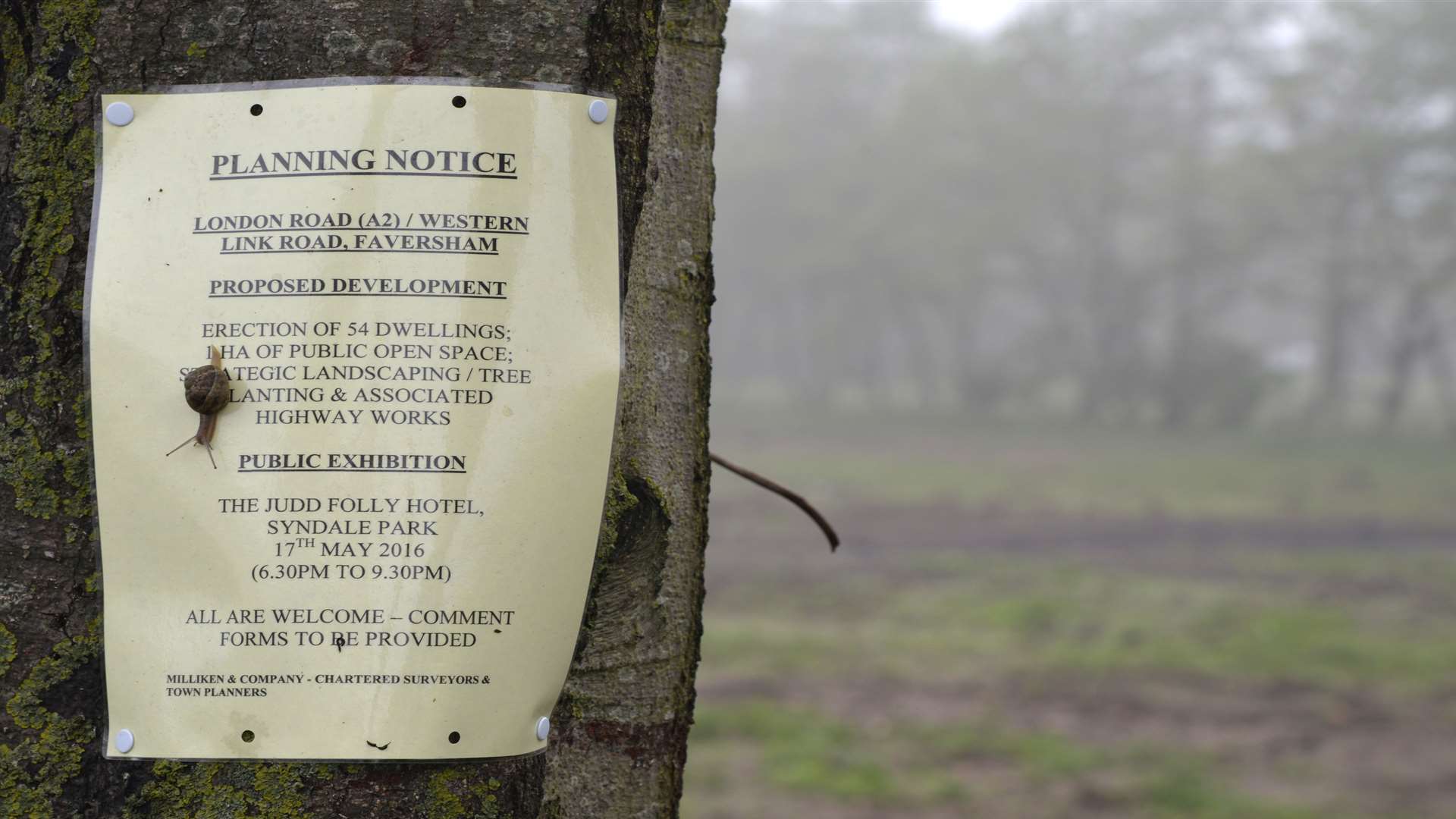 The site, which used to be an orchard, where Shepherd Neame hope to build 54 homes.