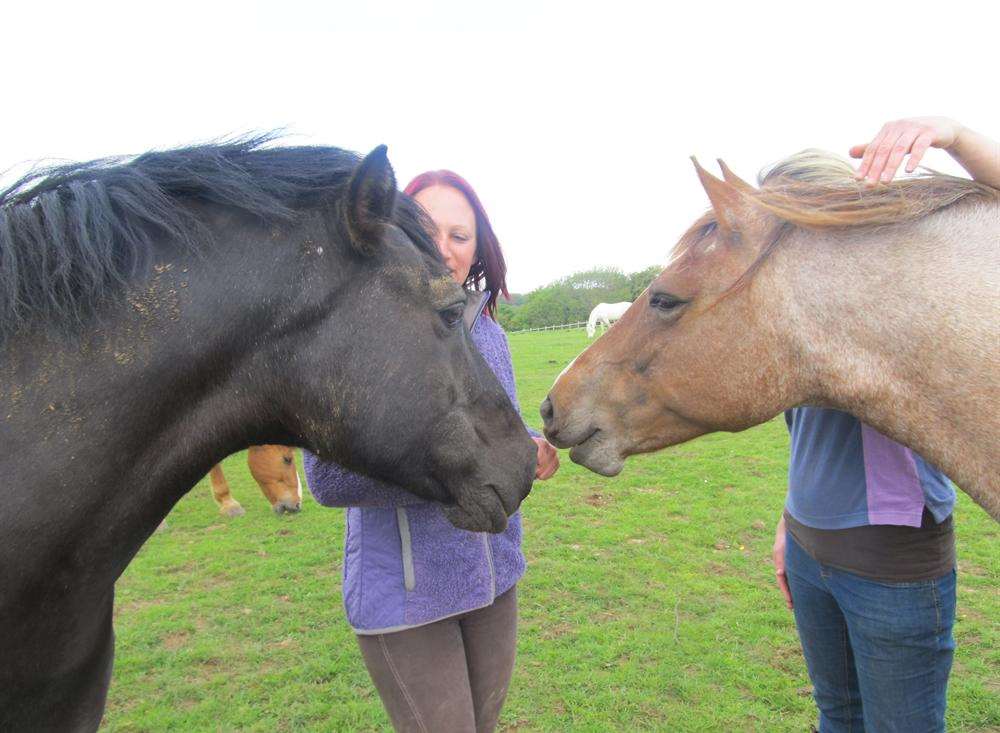 Rebel and Molly are big fans of polos