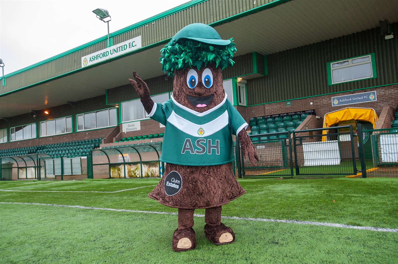 New Ashford United Football Club mascot Ash the Tree at Homelands