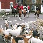 The East Kent Hunt on Elham village square. Picture: GERRY WARREN