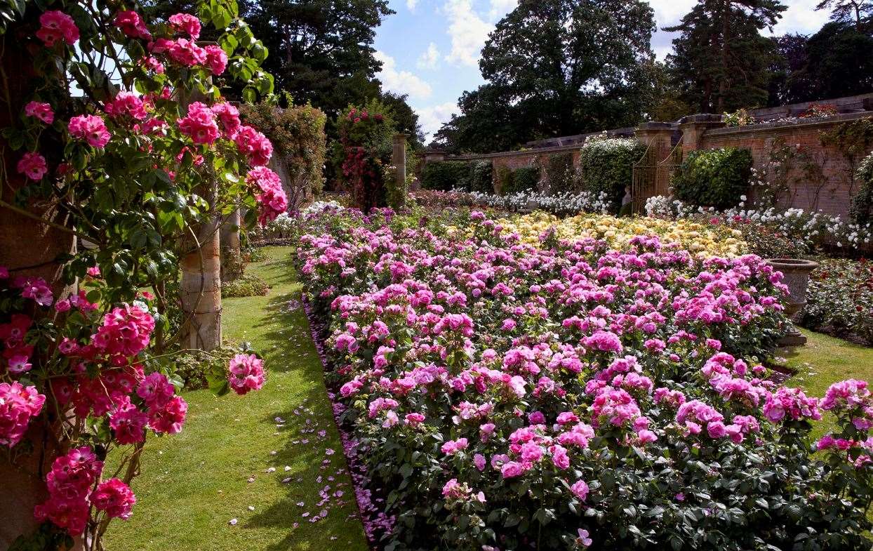 Hever in Bloom returns for two weeks this year. Picture: Hever Castle and Gardens