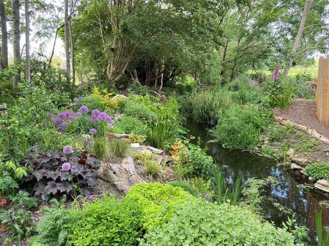 Pretty as a picture - how Faversham's Cooksditch Stream looks now