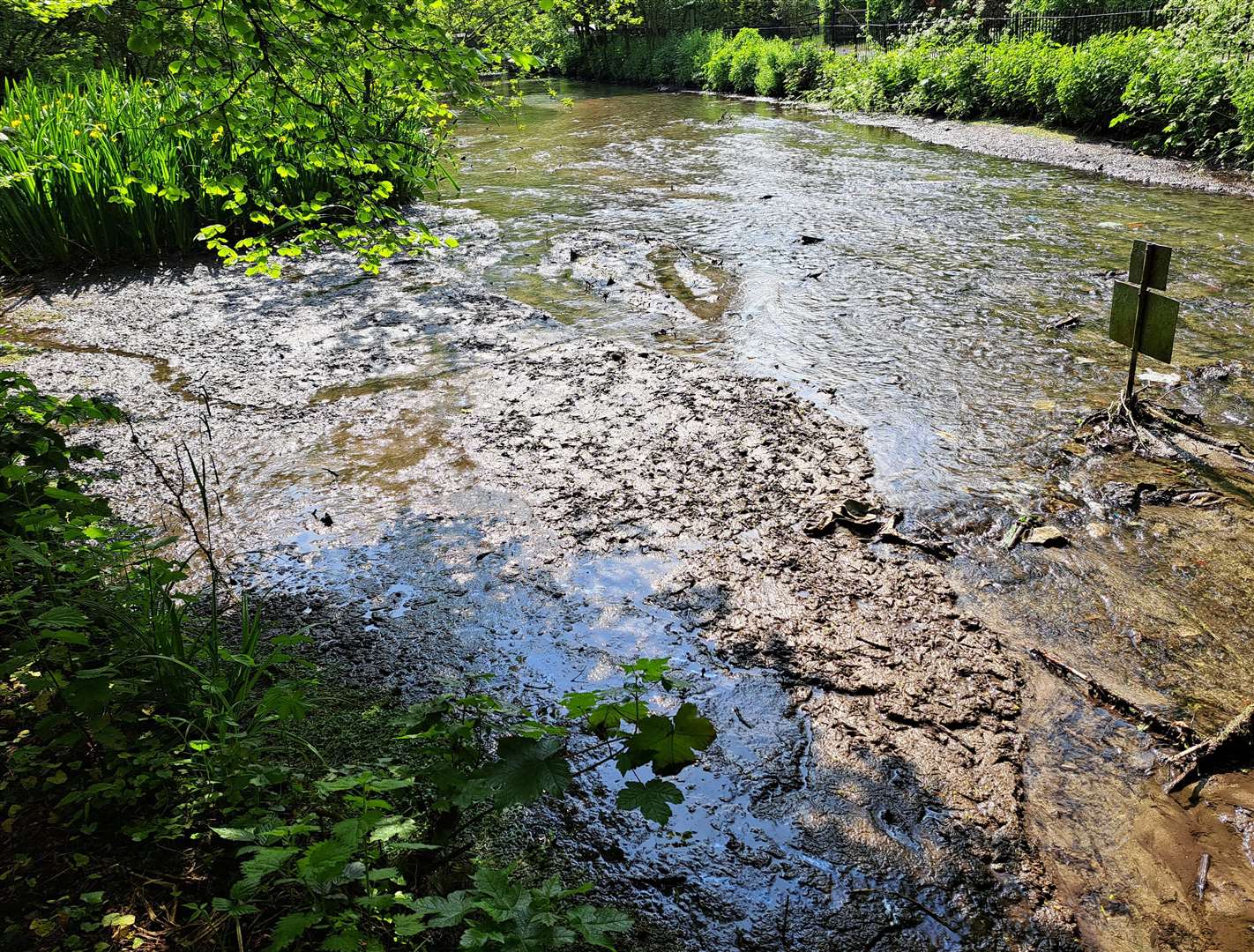 The dried up millpond.