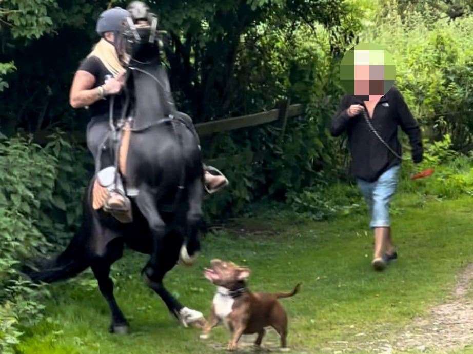 Shannon and her pony, Jet, being attatcked by a dog at Riverside Country Park in Gillingam. Picture: Shannon Edwards