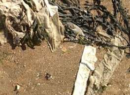 Rubbish washed up on a beach. Library picture courtesy of Joss Bay Surf School