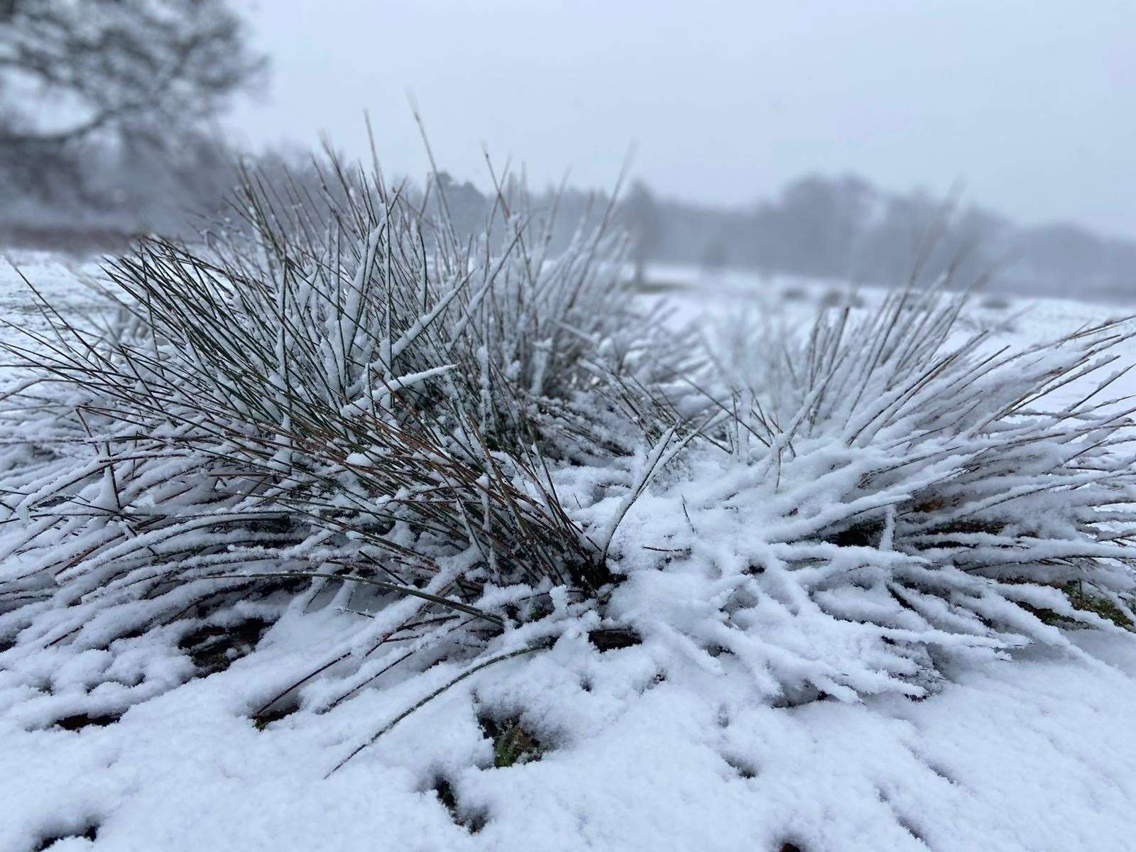 Hatch Park in Ashford covered in snow. Picture: Holly Hunt