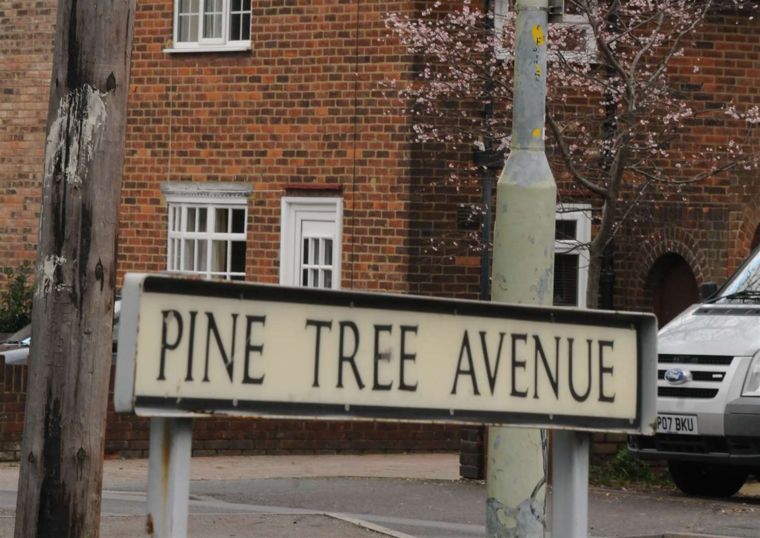 One man had his bag stolen in Pine Tree Avenue