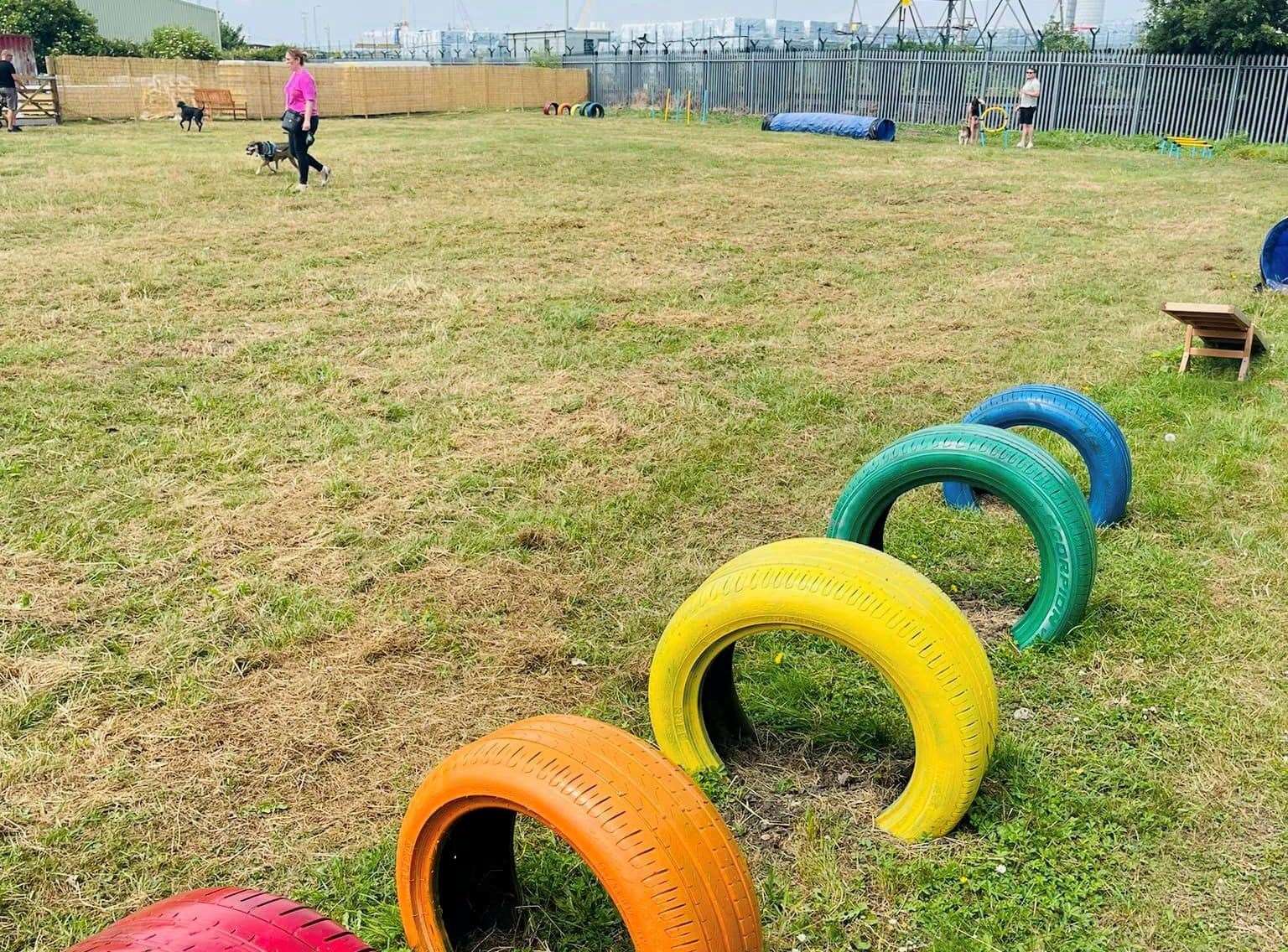 Agility exercises can be practiced by dogs at the Sheppey site. Picture: Happy Paws Pet Services