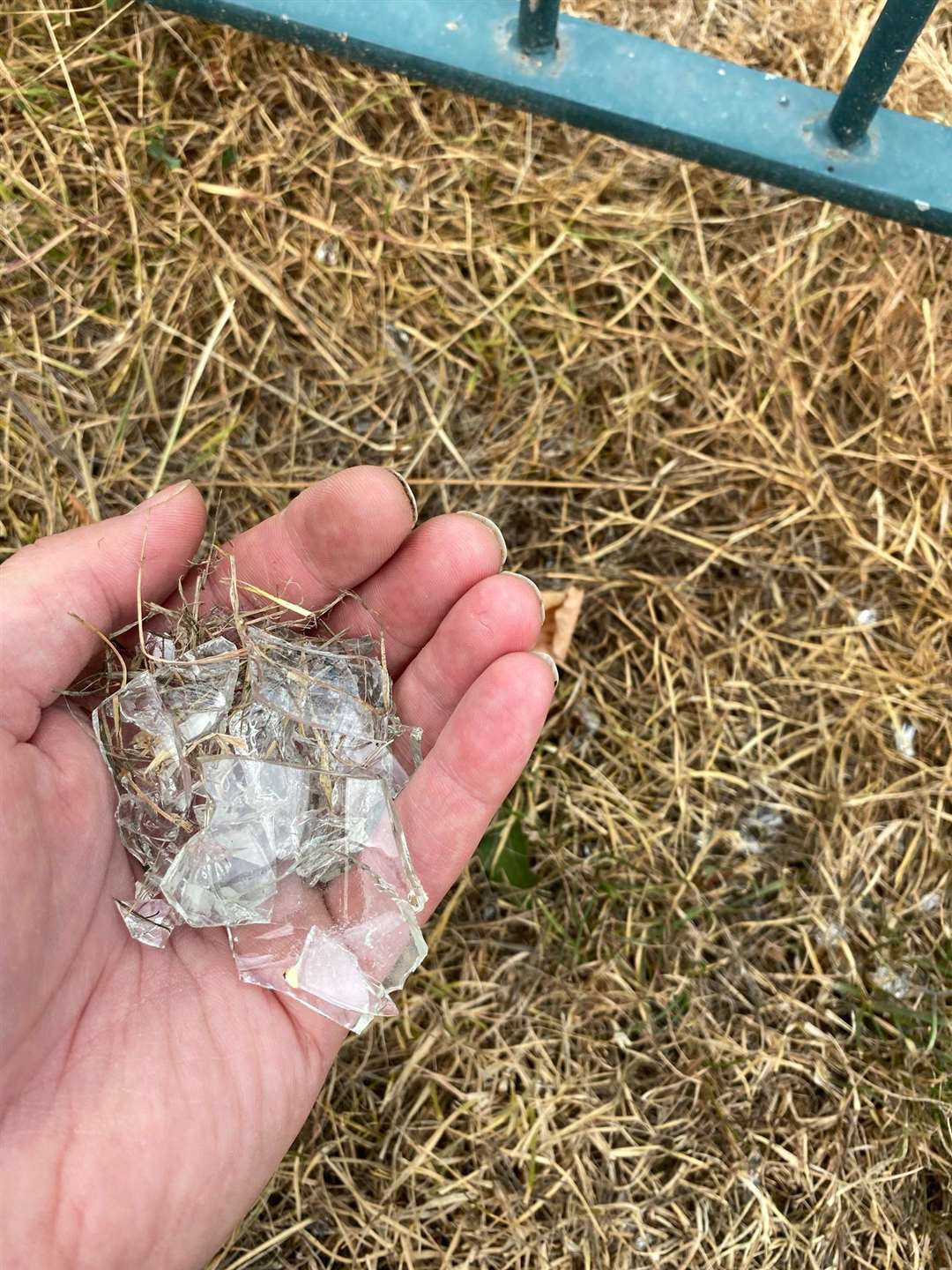 Broken glass found in the grass of the recreation ground Picture: Stuart Bourne