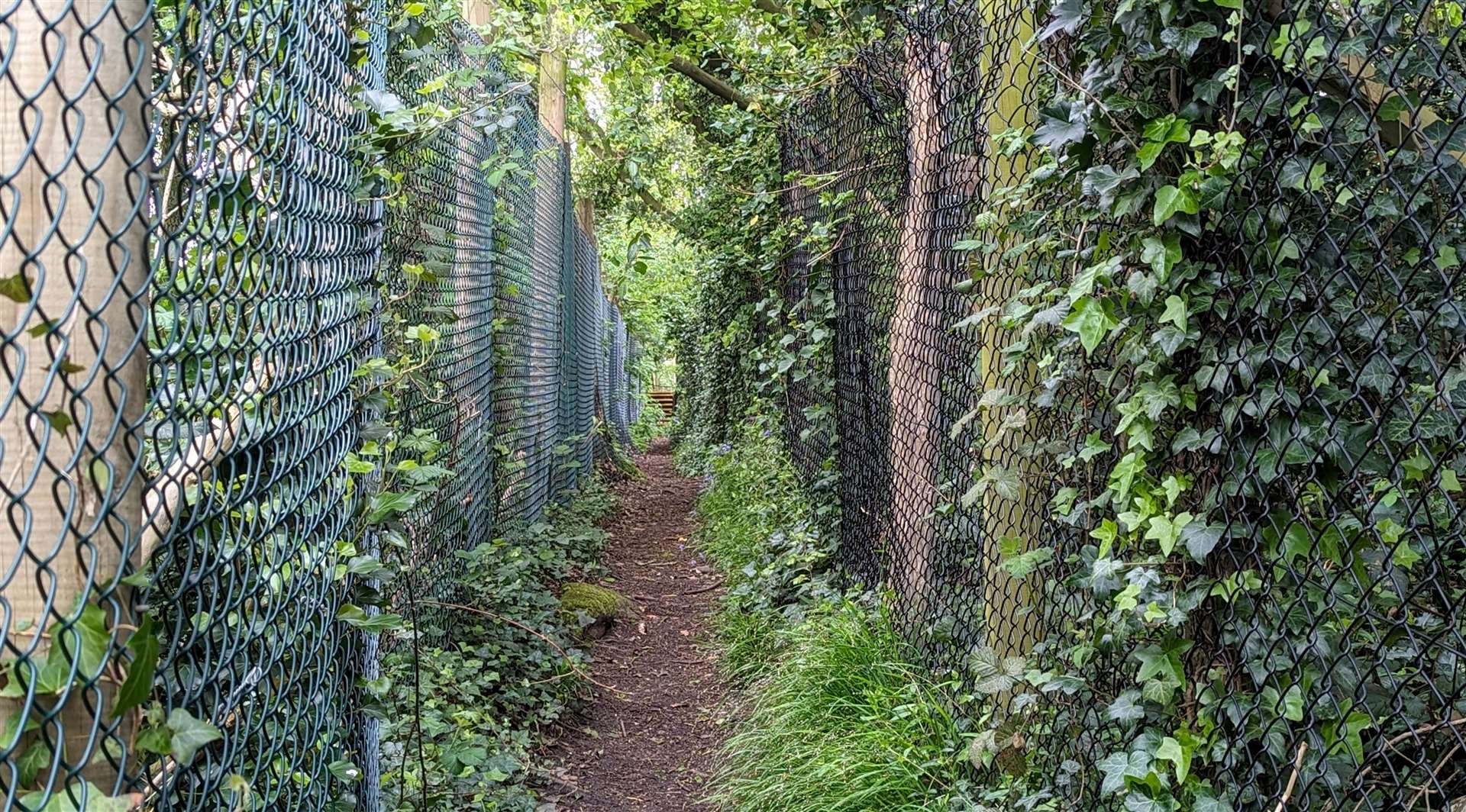 The narrow footpath which leads towards the elephant paddock