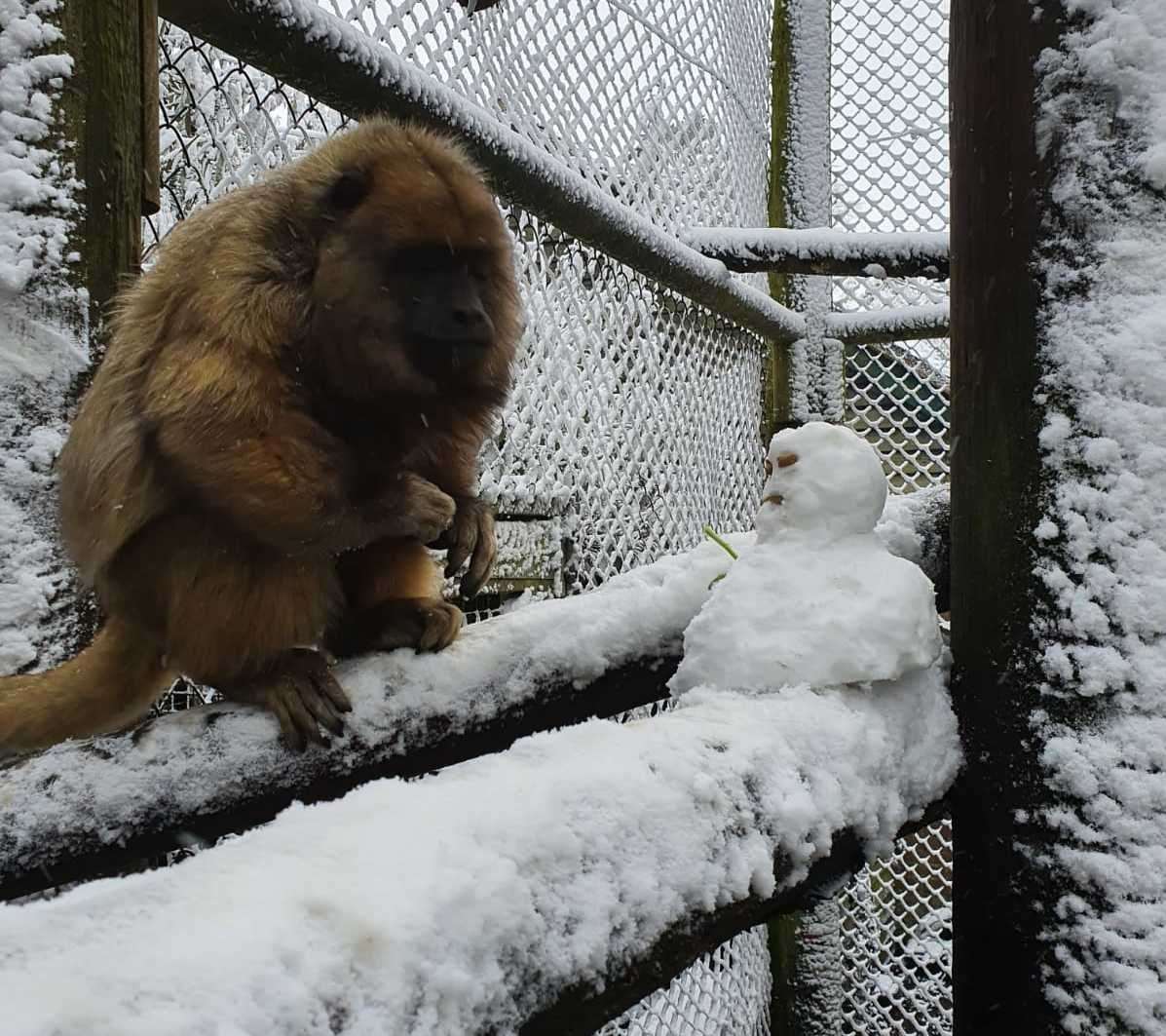 A new friend. Pictures: Port Lympne/David Rolfee