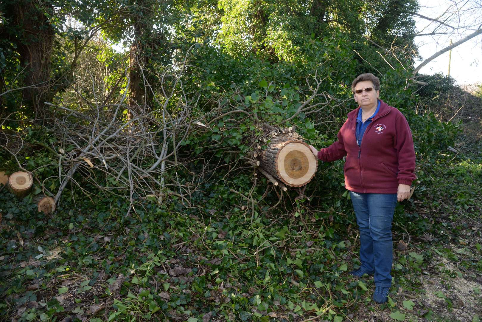 The worried pair "feel like prisoners in their own home" - and only this week a 50ft poplar crashed down just metres away from the bungalow. Picture: Chris Davey