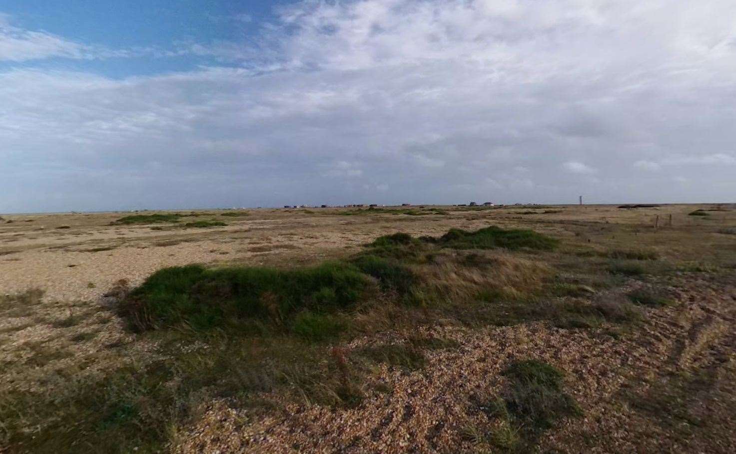 One turtle was found on a beach in Dungeness but put back into the sea. Picture: Google