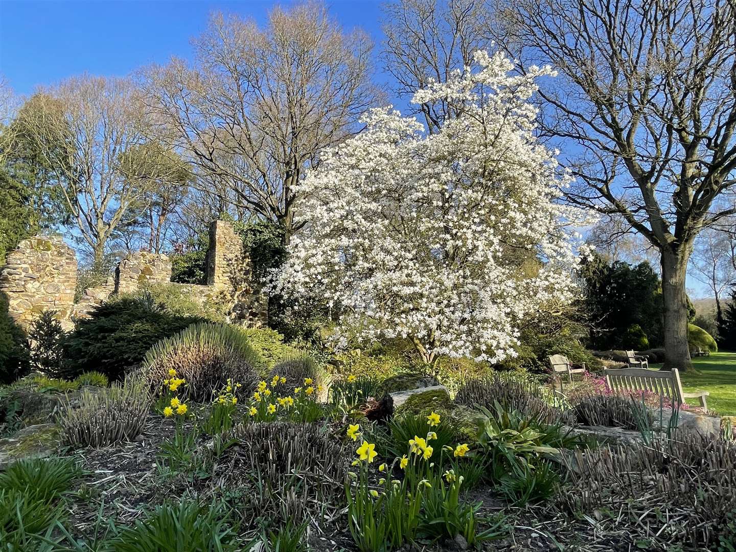 Enjoy beautiful flowers at Great Comp's Spring Fling. Picture: Supplied by Vikki Rimmer