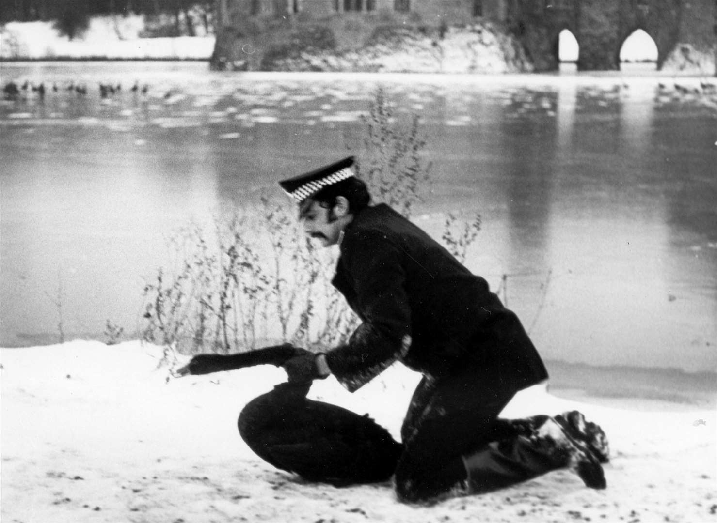 Black swans being rounded-up and taken to safety away from the frozen moat at Leeds Castle