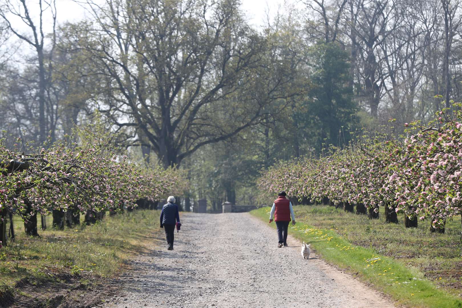 Restrictions on people’s movement have seen firms facing cash flow and revenue challenges (Niall Carson/PA)