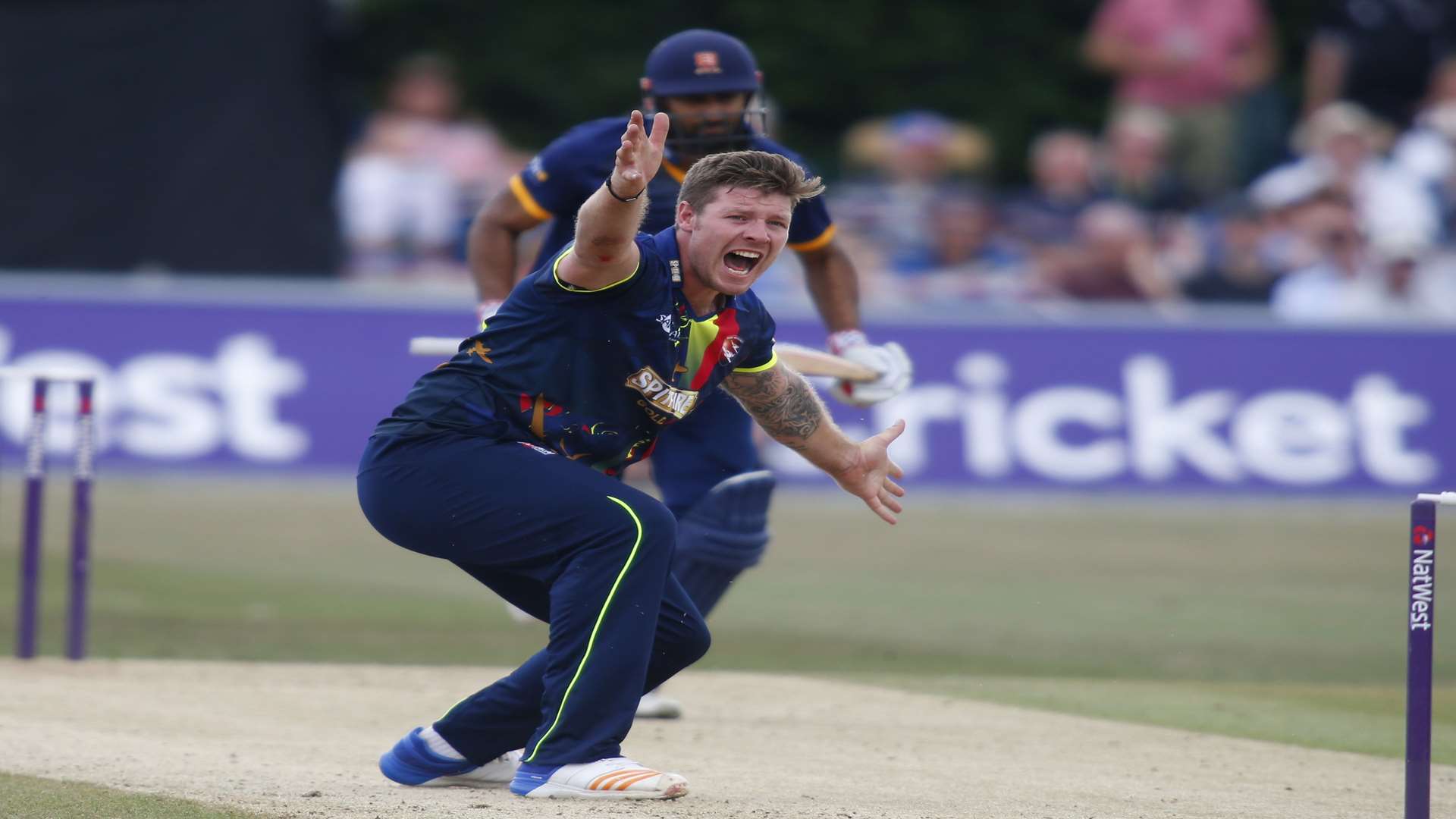 Matt Coles appeals for a leg before decision. Picture: Andy Jones