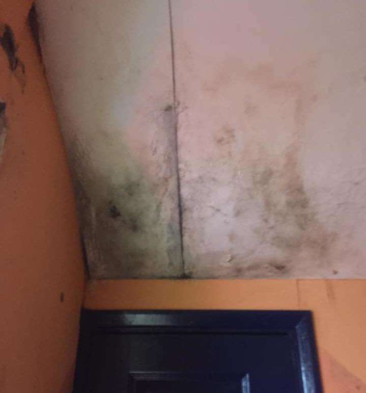 Damp was seen on ceilings and walls in the Hippodrome. Picture: Matilda Smith