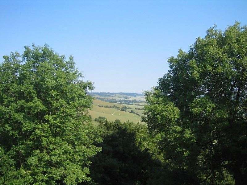 White Horse Wood has been spruced up with freshly planted trees and seeded land. Picture: KCC