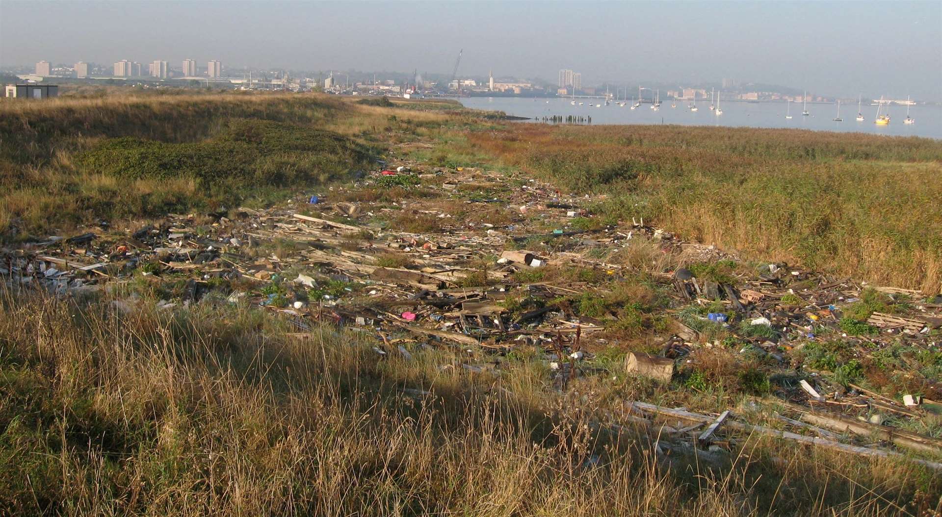 The saltmarshes around our coast are at risk due to rising sea levels