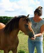 DISTRESSED: Folly with owner Christine Fenton